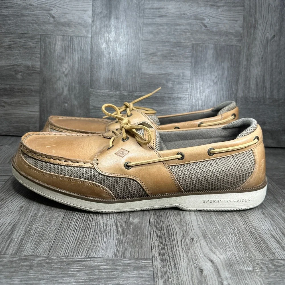 Sperry surveyor eye